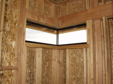 Window in Master Shower