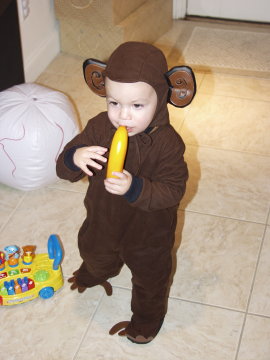 A monkey and his banana, Jake Stowers